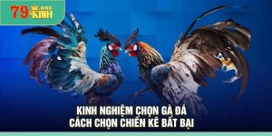 Kinh Nghiệm Chọn Gà Đá